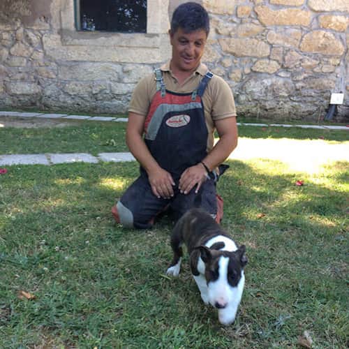 Galeria VillaDog 6